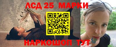 ешки Новодвинск