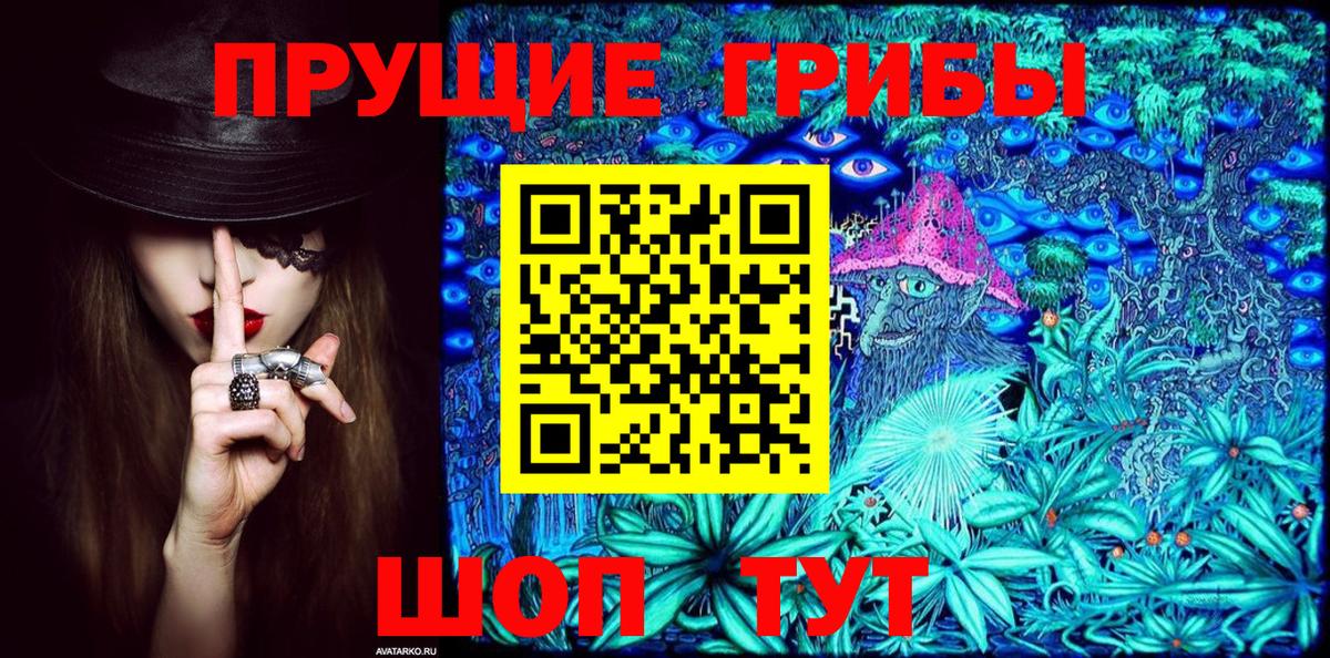 Псилоцибиновые грибы прущие грибы  Вход с VPN  Реутов  как найти закладки  Псилоцибиновые грибы мицелий 