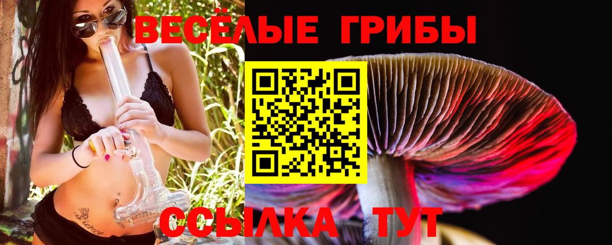 Псилоцибиновые грибы мицелий Реутов